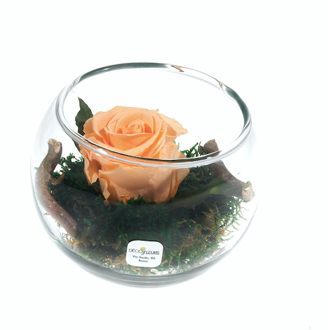 Eleganza Floreale: Il vaso di Rose Artificiali con Illusione d'Acqua – Déco  Fleurs